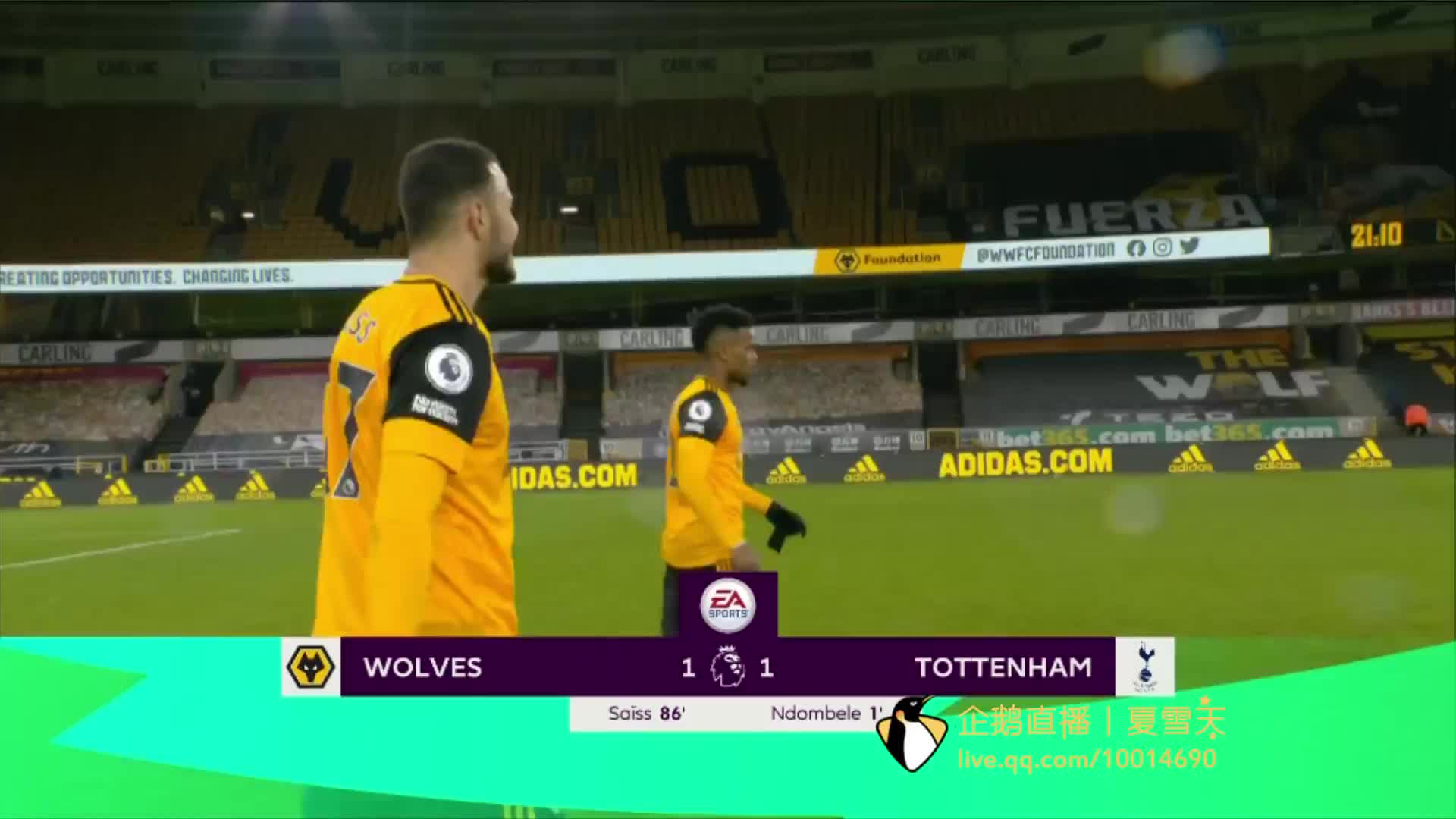 森林狼的中 森林狼的中